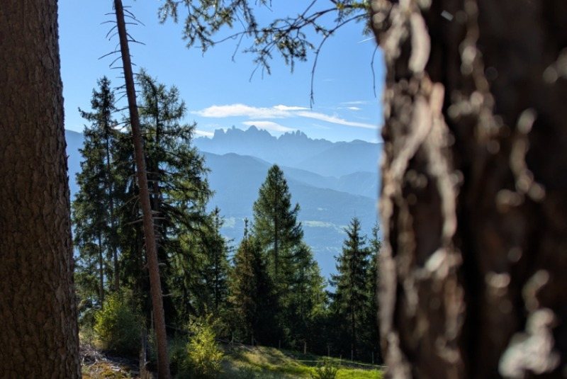 View from the Masitterhof
